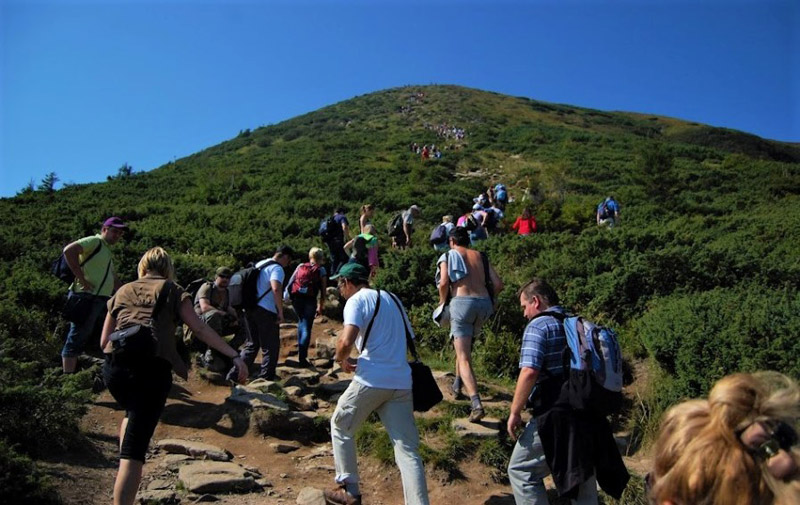 Tourists climbing Hoverla mountain
